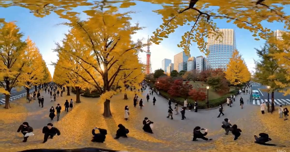 Autumn in Tokyo