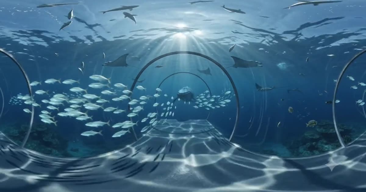 Sharks